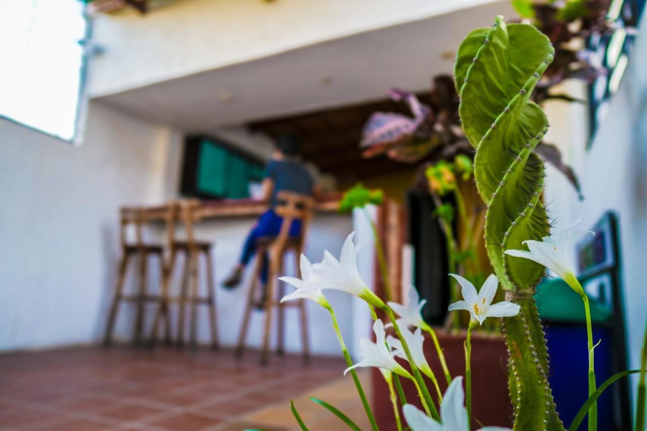Aluna Hostel B&B Santa Marta Dış mekan fotoğraf